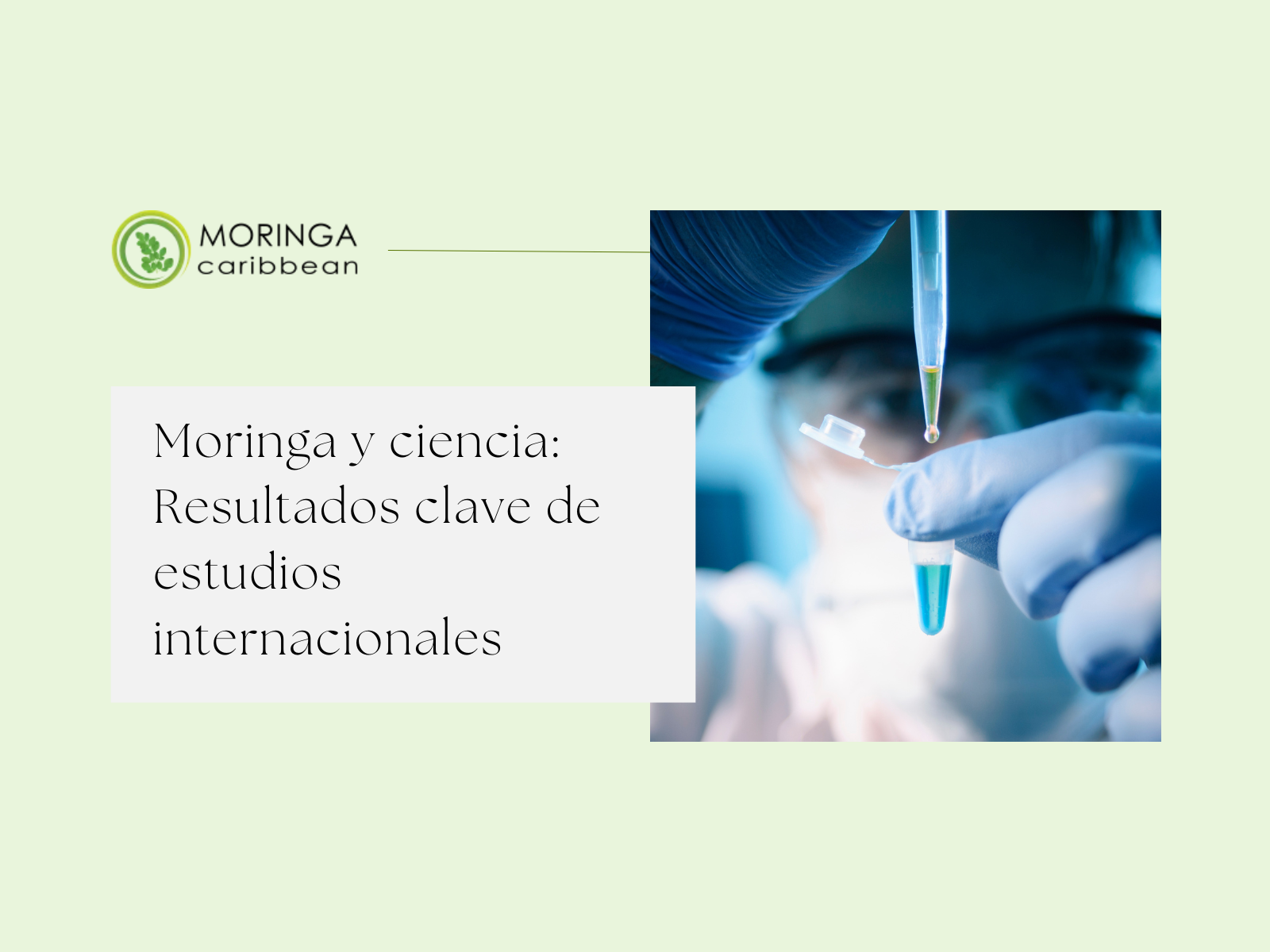 Estudios científicos internacionales publicados sobre la moringa