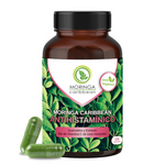 Moringa Caribbean Antihistamínico - Moringa Caribbean