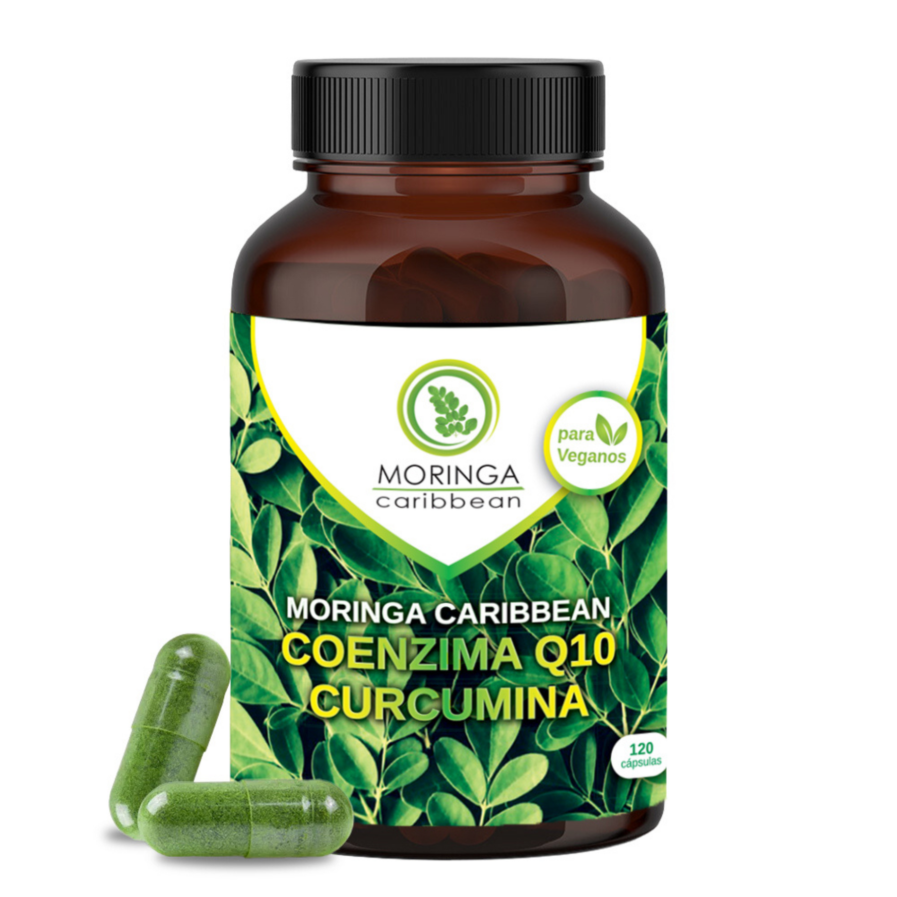 Moringa Caribbean Coenzima Q10 Curcumina - Moringa Caribbean
