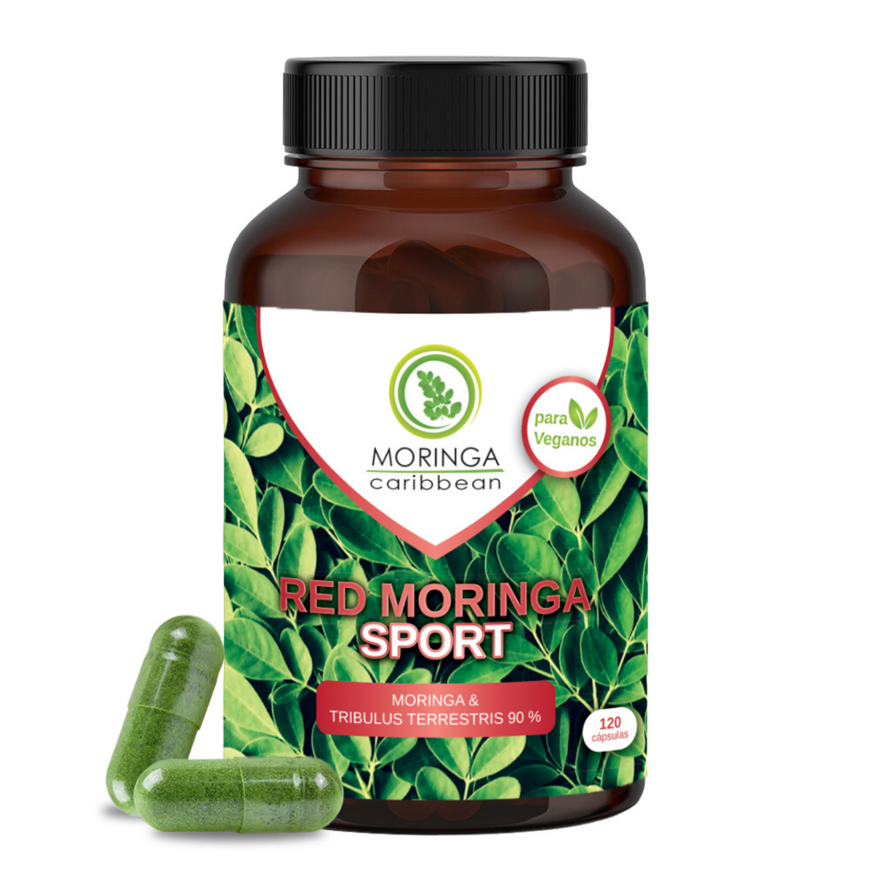 RED Moringa SPORT - Moringa Caribbean