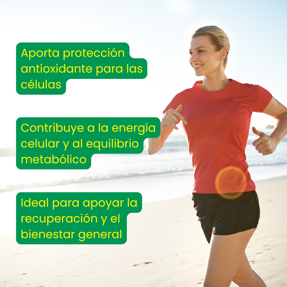 Moringa Caribbean Coenzima Q10 Curcumina