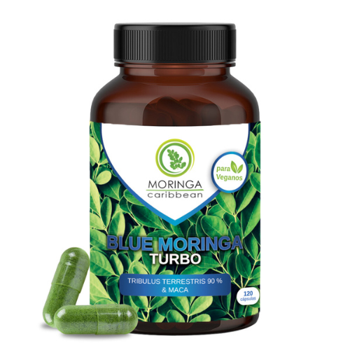 BLUE Moringa TURBO - Moringa Caribbean