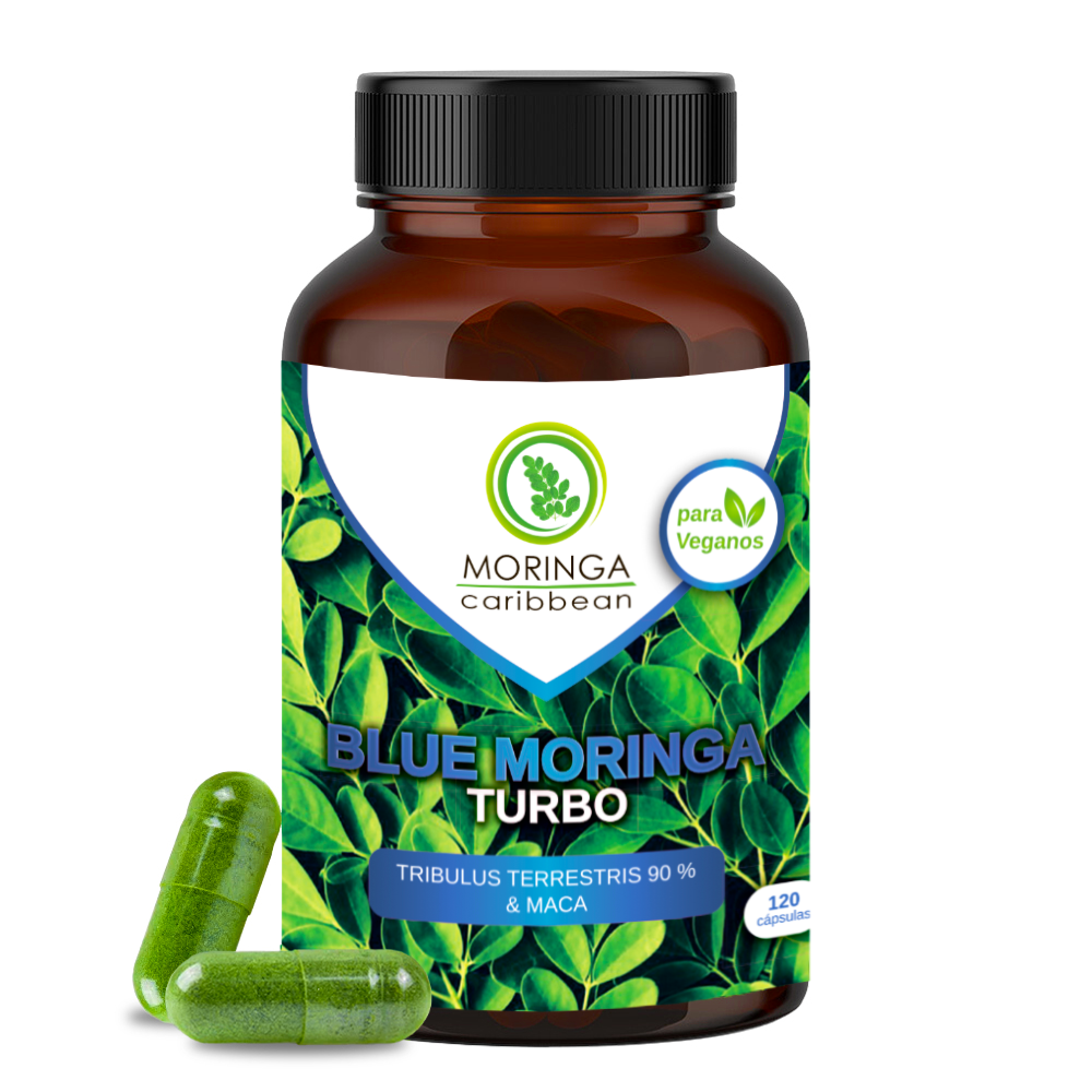 BLUE Moringa Turbo
