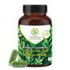 Moringa Caribbean Coenzima Q10 Curcumina